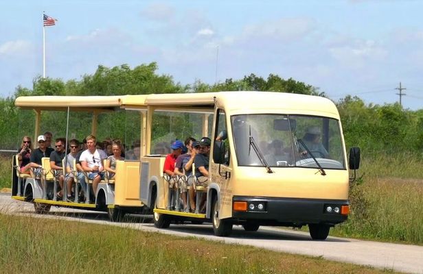 From Miami: Everglades Nature and Wildlife Tram Adventure