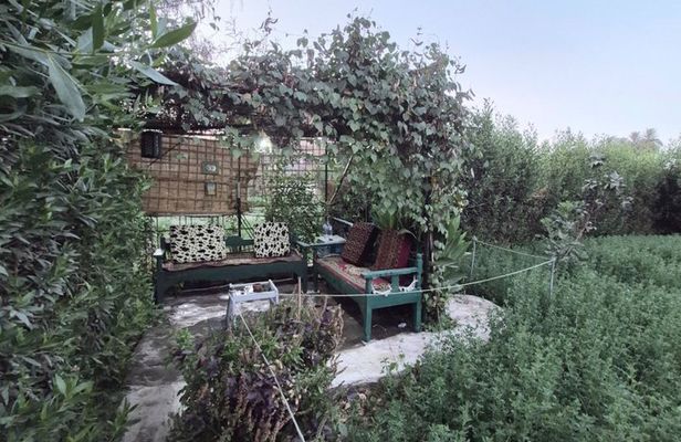 Garden Picnic Experience in the Green