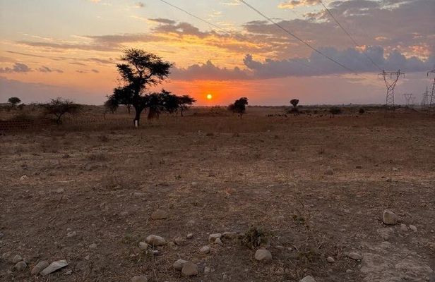 Arusha 1 Day Private Trip to Serval Wildlife Sanctuary