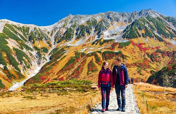 Kanazawa/Nagano: Tateyama Kurobe Snow Wall Day Tour