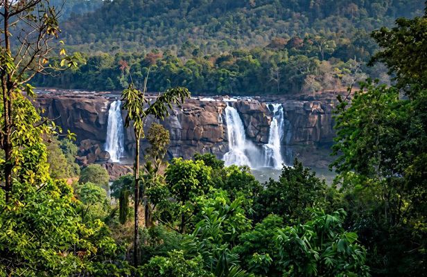 Best of Kerala: 8-Day Private Tour with Hotel & Houseboat Stay