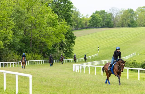 Kentucky Racehorse Training Center Tour at Pin Oak Stud