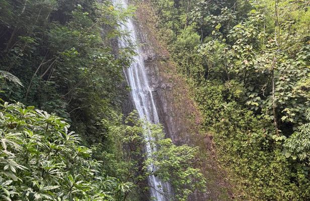 Hawaiian Waterfall Hike With Waikiki Pickup