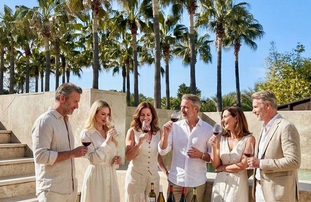 Wine Tasting and Vineyard Tour in Urla (Transfer Optional)