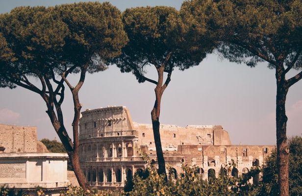 Colosseum, Roman Forum & Palatine Hill, Ticket with Virtual Tour