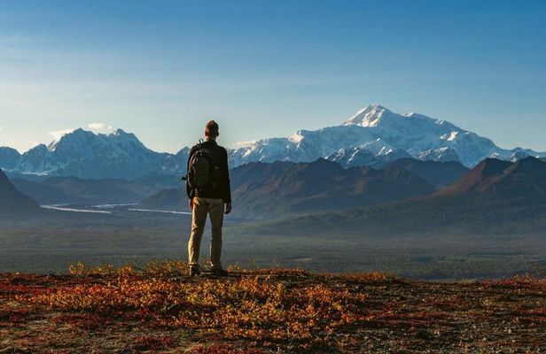 Denali Wilderness Hike
