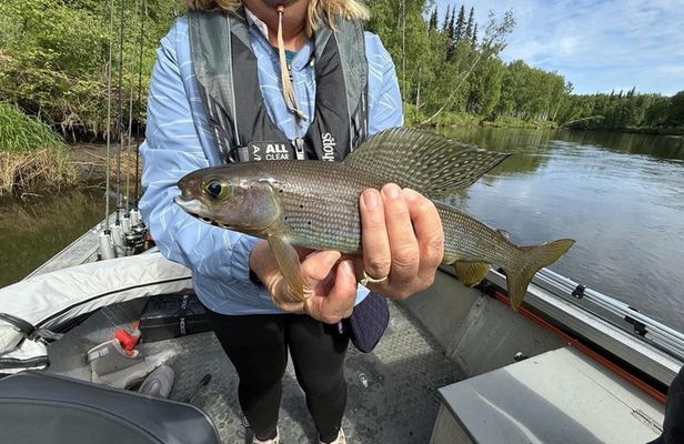 Guided Fishing Adventure On The Chena River By Boat