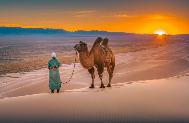 Private 2 day Semi-Gobi Desert & Khustai National Park Tour