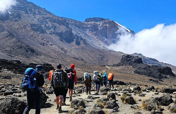Mount Kilimanjaro 9 Day Lemosho Route Private Trek