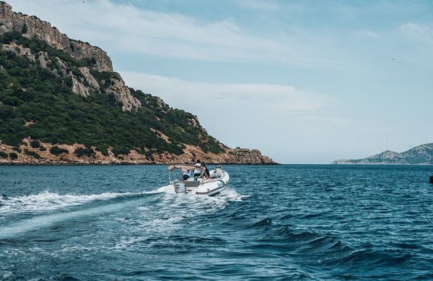 Golfo Aranci Dolphin Watching Tour at Sunset with Biologist