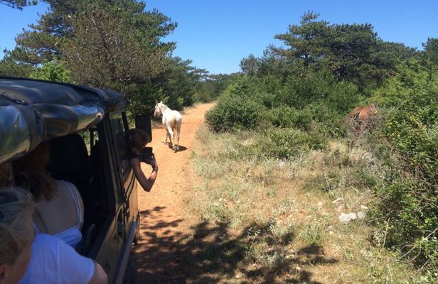Brač Off Road Tour Hidden Villages Views and Local Stories