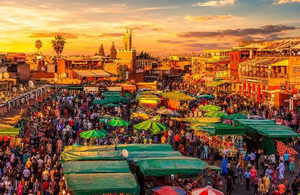 Marrakech Day Trip from Agadir with Hotel Pickup