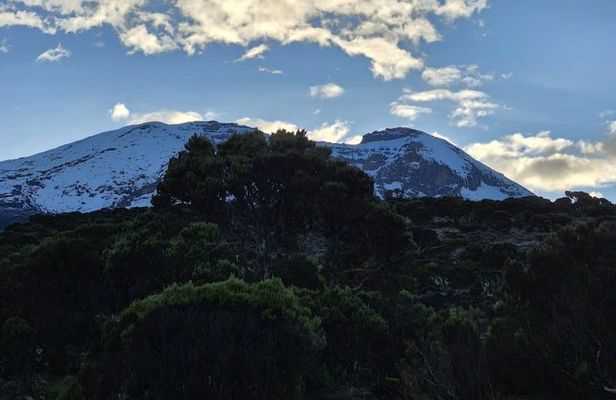 Mount Kilimanjaro Day Hike via Marangu Route by KILITA SAFARIS