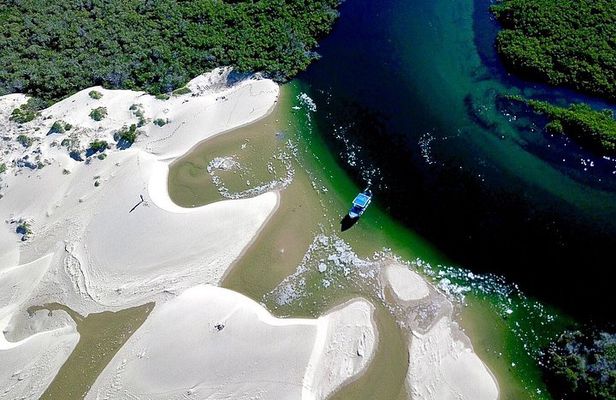 Walk between Dunes and Mangroves of Bahia Magdalena