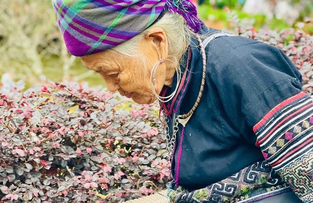 Hanoi to Sapa Three Day Private Tour