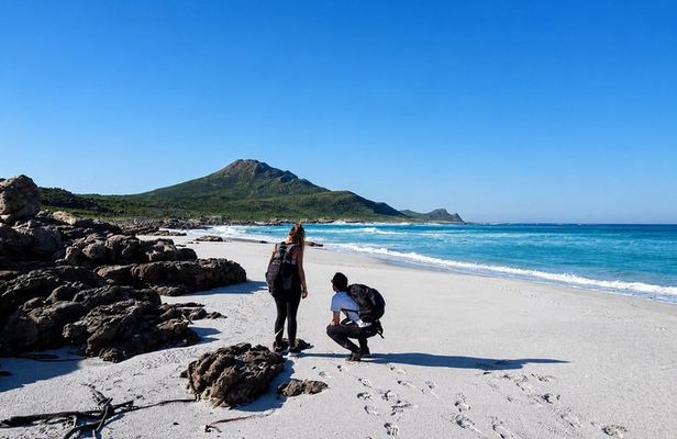 Hiking Cape of Good Hope & Cape Point Private Full Day Tour
