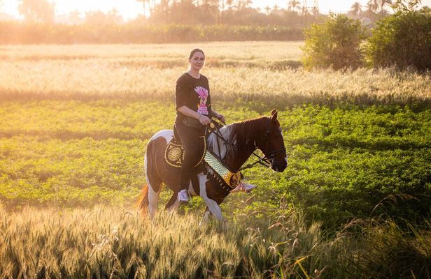 Luxor East Bank Tour - Horse Riding and Sightseeing