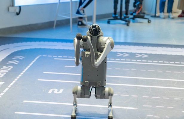 Shanghai: High Tech of Robots and Driveless Car Half Day Tour