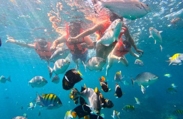 Los Arcos 5 Islands Snorkeling 3 Sea Caves and 6 Beach Adventure