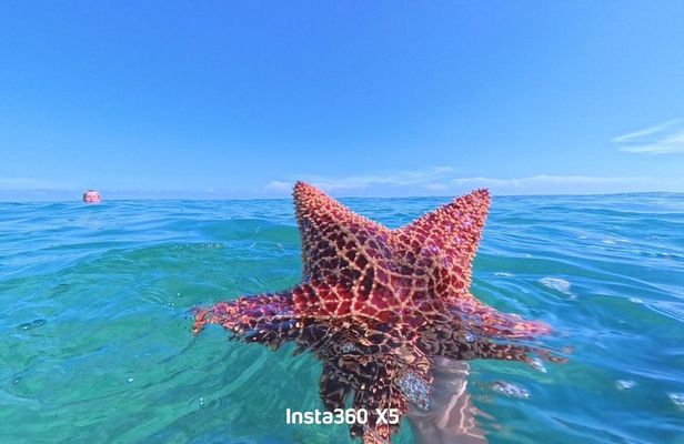 Summertime Morning Swim in the Florida Keys Catamaran