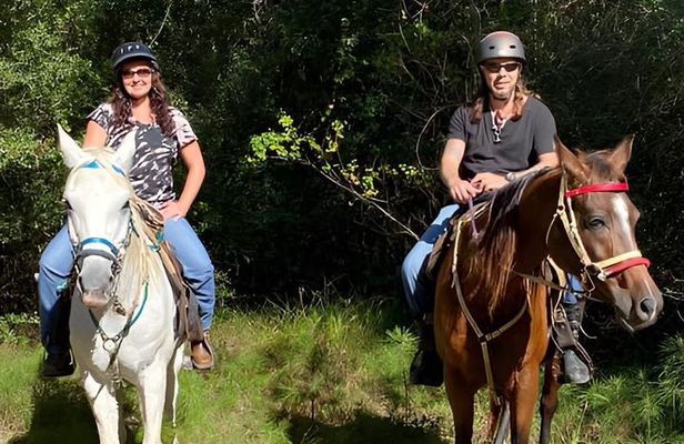 Houston Area: 1-Hour Horseback Ride