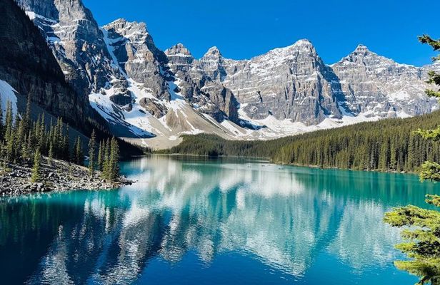 4.5 Hours Private Lake Louise and Moraine Lake Tour from Banff