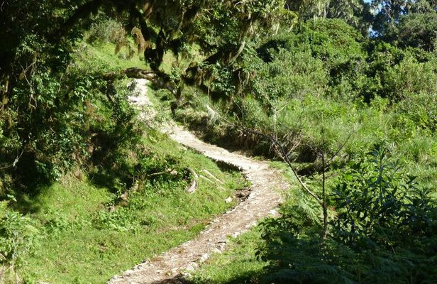 4 Days Mount Meru Guided Trekking Tour