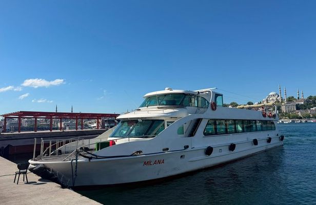 Istanbul Islands Swimming Tour with Lunch and Boat Cruise