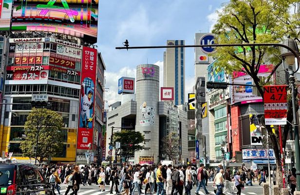 Tokyo Private Highlights Tour by Car with Local Guide