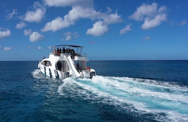 Epic Combo in Catamaran and Adventure in Buggy