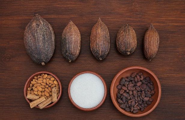 Traditional Oaxacan Chocolate Class