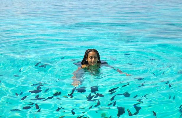 Full-Day Northern Zanzibar Snorkeling, Turtles and Sunset