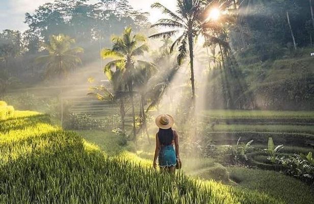 Private Tour - Ubud Rice Terraces, Temple & Waterfall
