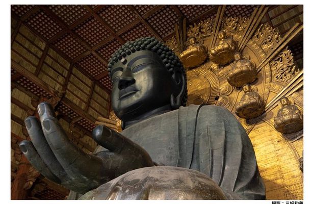 Kyoto & Nara Full-Day Tour: Kinkaku-ji, Todai-ji & Nara Park