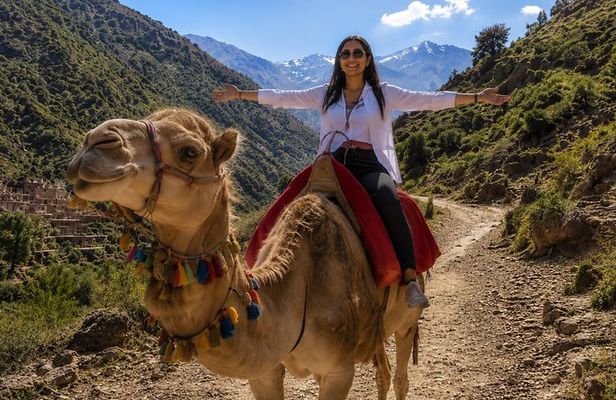Ourika Valley Day Trip with Camel Ride, Waterfalls & Lunch