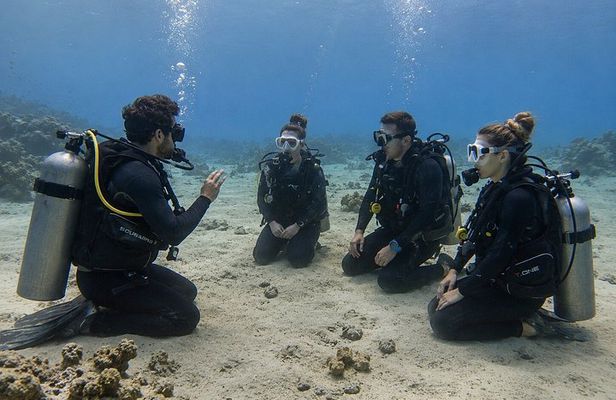 PADI Open Water Diver Course in Curacao Small Groups