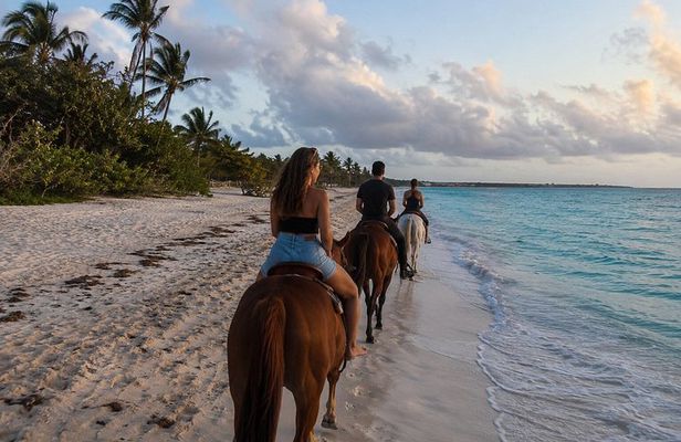 Turks & Caicos Sunset Horseback Ride at Blue Hills Beach