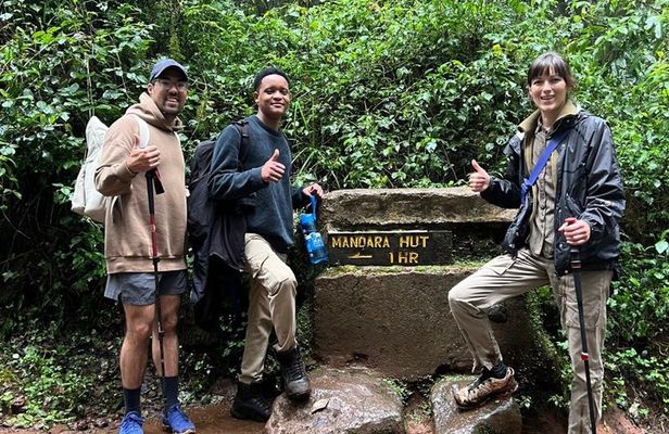 Kilimanjaro 1 Day trip