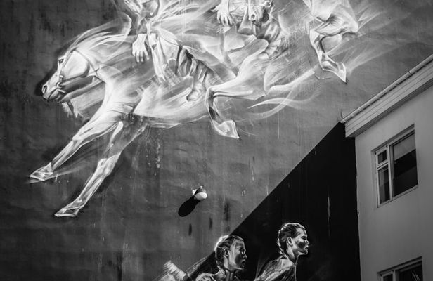 Reykjavik Street Art Backstreets and Stories
