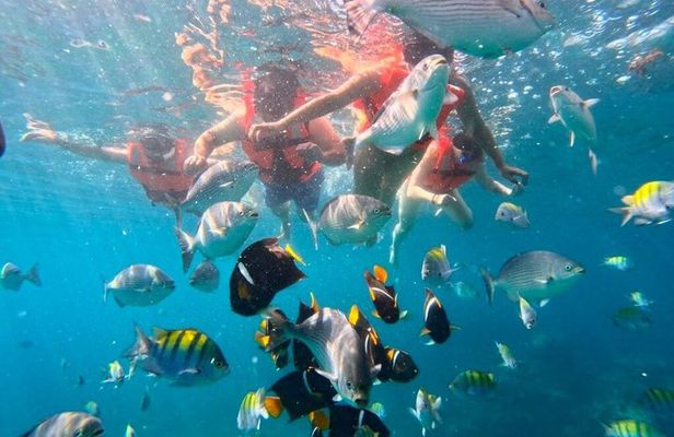 Puerto Vallarta: Los Arcos 5 Islands & Sea Cave Snorkeling