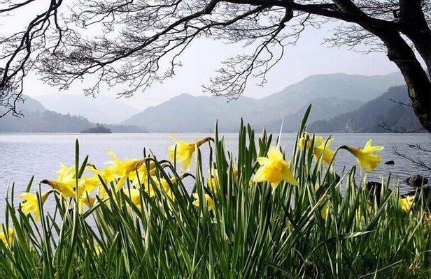 Ten Lakes Tour and Ullswater Cruise Experience