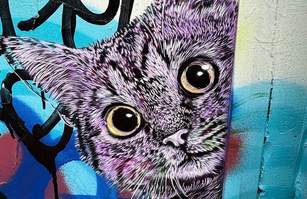 RiNo Street Art Stroll - Tour of Denvers Famous Murals & Graffiti