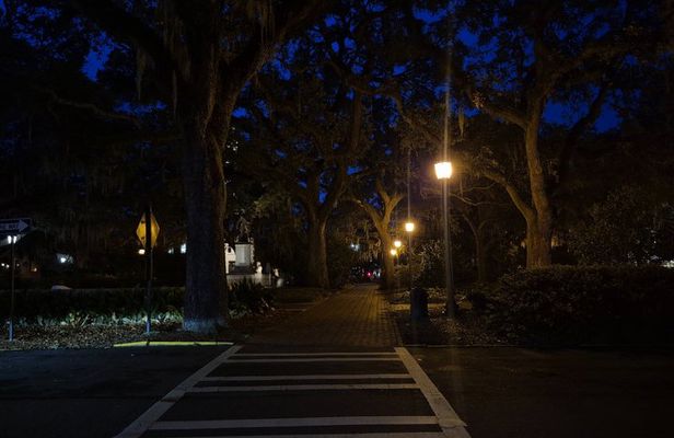 Savannah Your Way: Ghosts, History & True Crime Private Tours