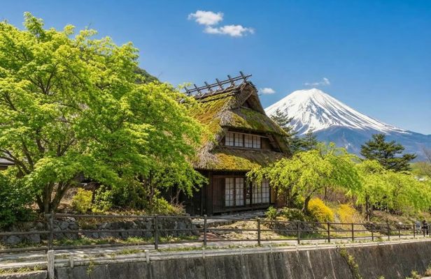 Tokyo: Mount Fuji Must-see Attractions One Day Sightseeing Tour