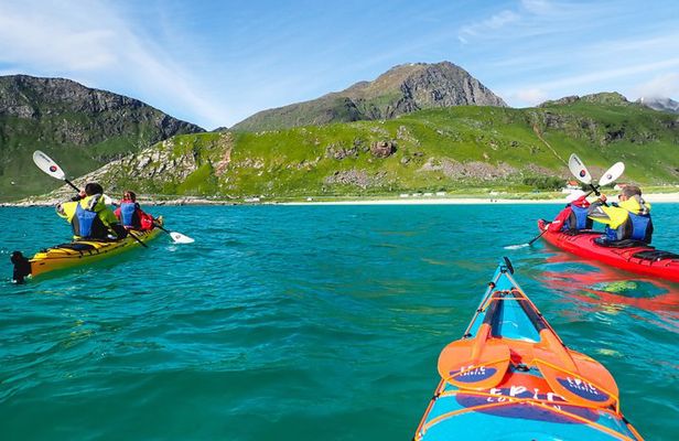 Afternoon Kayak Tour with Local Guide