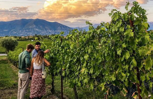 Tasting with winery visit in the heart of Franciacorta