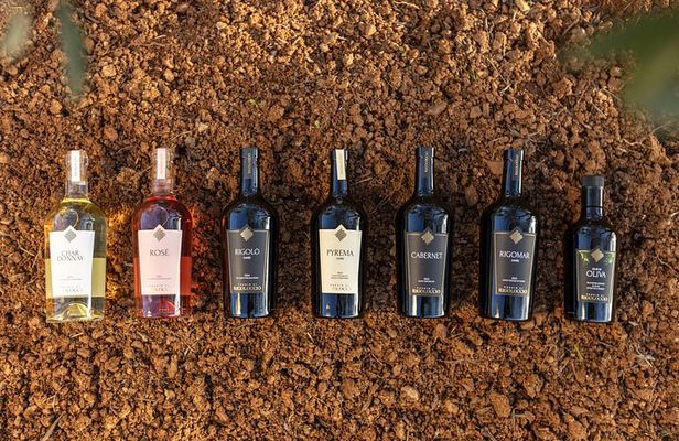 Maremma Wine Experience: 5 Wines & Local Specialties