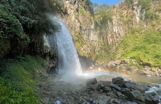 Hiking to Secret Waterfalls of the Coatepec Fog Forest