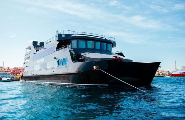 Luxury Catamaran Semi-Submarine, Island & Snorkeling - Hurghada