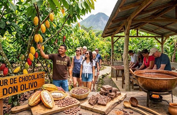 Don Olivo Chocolate Tour